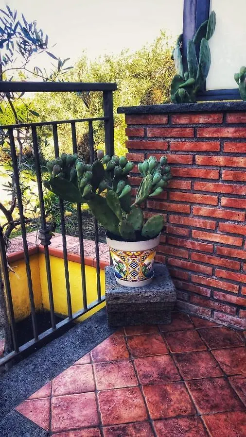 Opuntia Dell'Etna Bike House Apartment Mascalucia