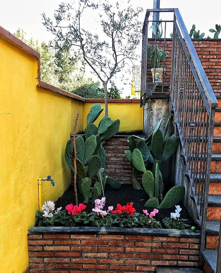 Opuntia Dell'Etna Bike House Apartment Mascalucia 0*,